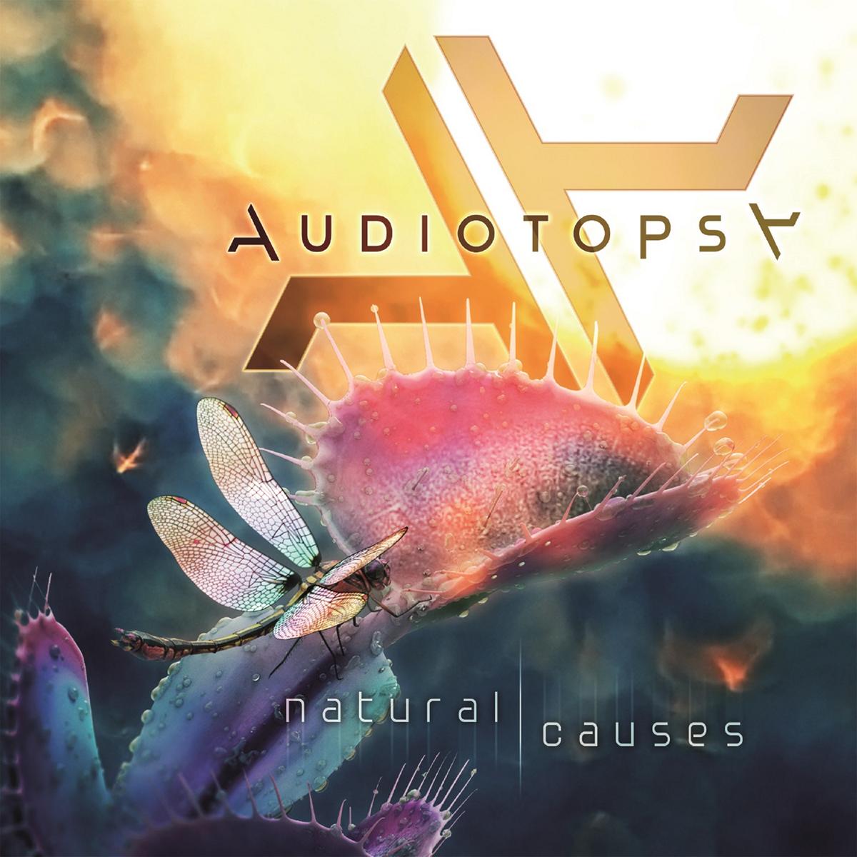 Audiotopsy-Natural Causes 16_Page_Booklet.indd