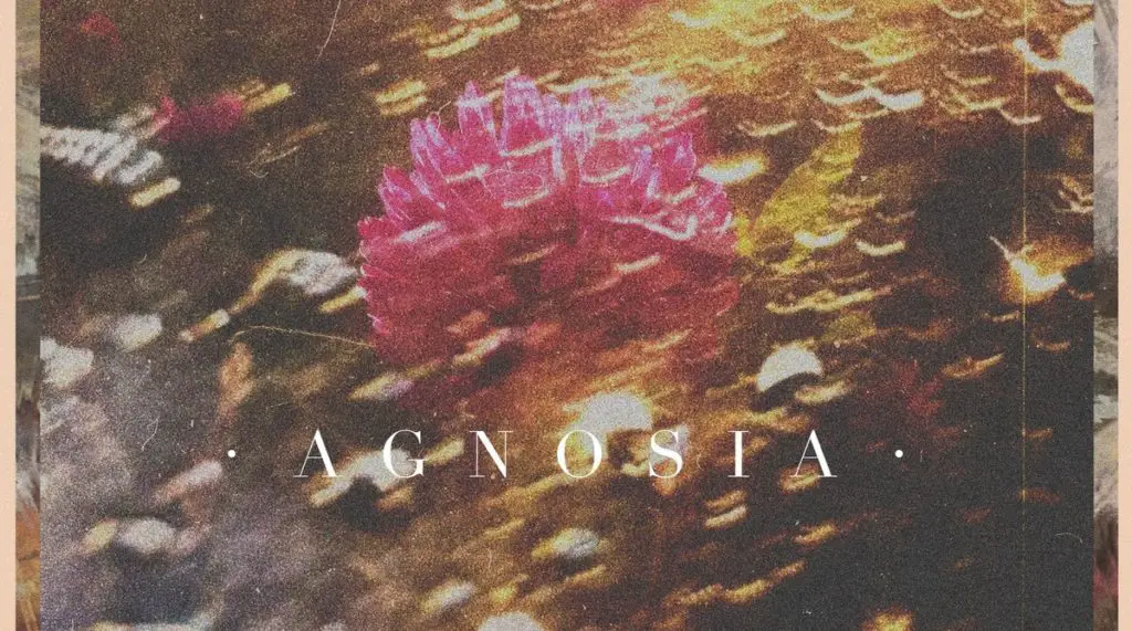 Agnosia Split