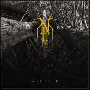 Norse Ascetic