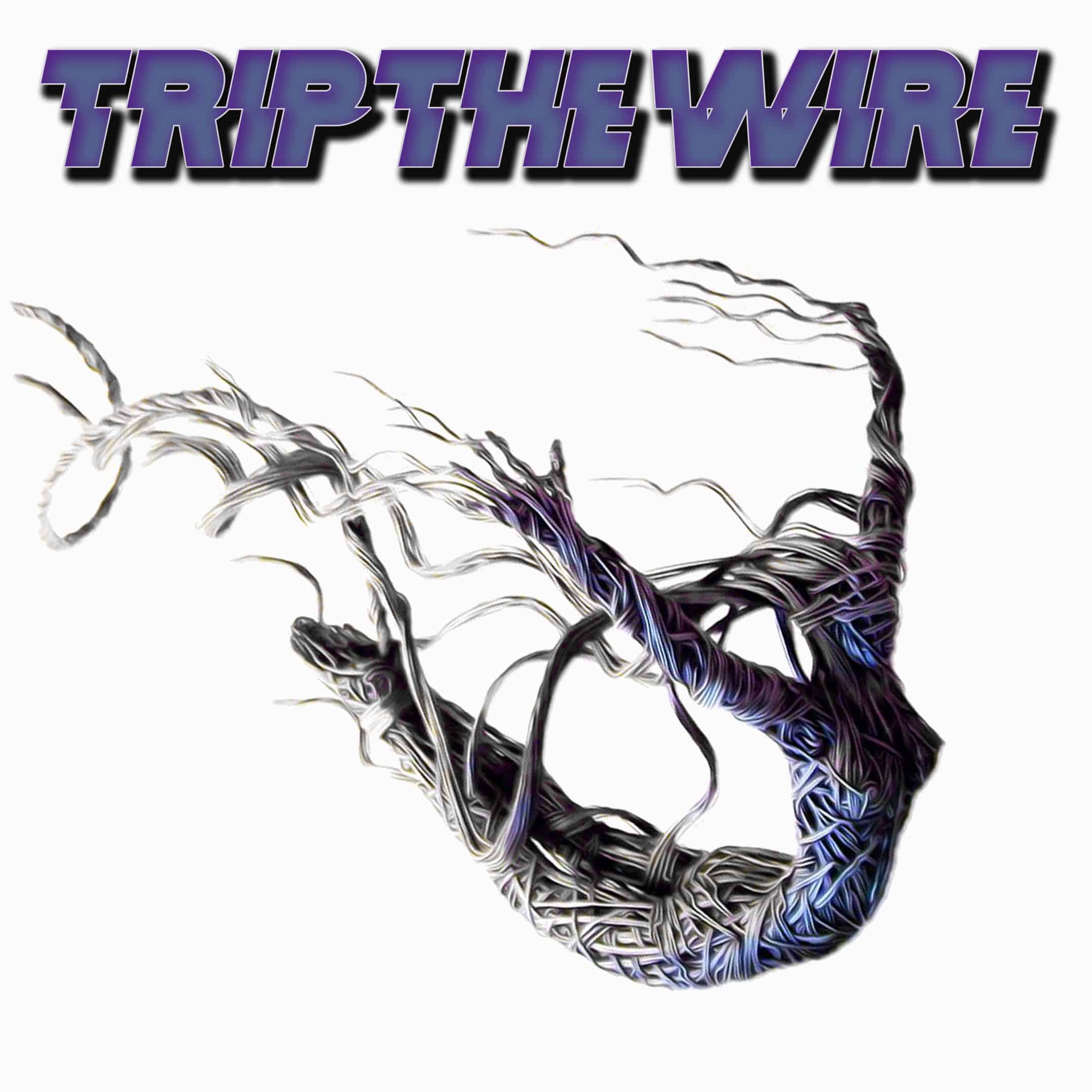 Tripwire hook. Wire Band. The wire album Cover.