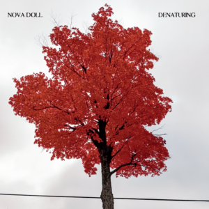 Nova Doll – Denaturing Review