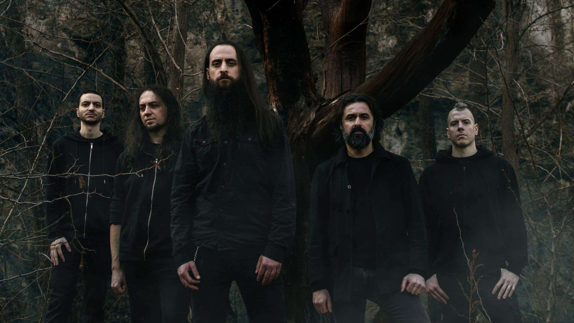 Shores of Null