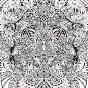 Gaupa – Fyr Review