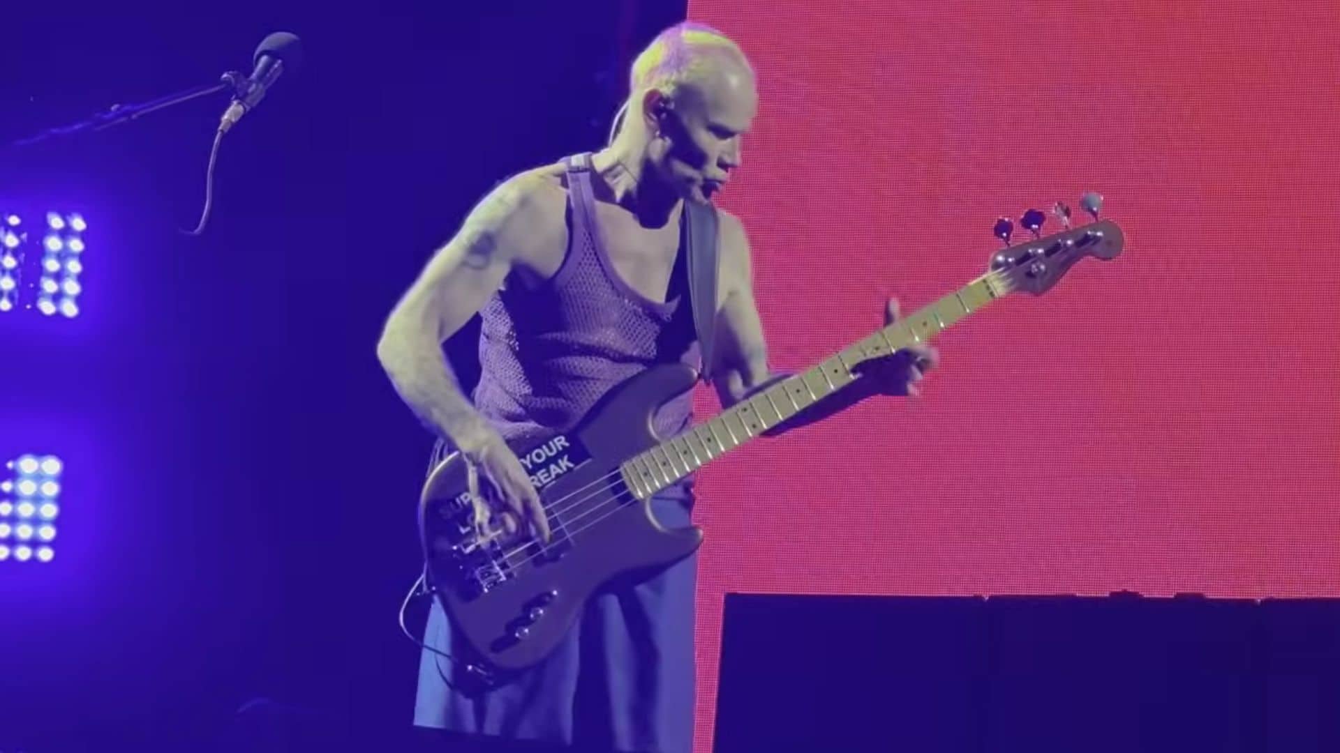 Flea